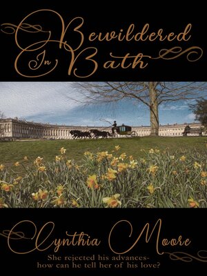 cover image of Bewildered in Bath